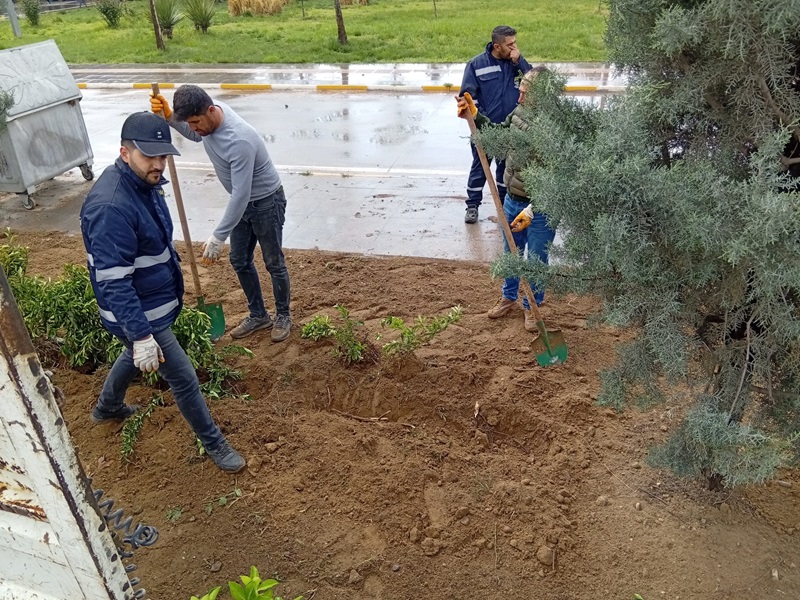 Otogar'da Peyzaj Çalışmaları Devam Ediyor