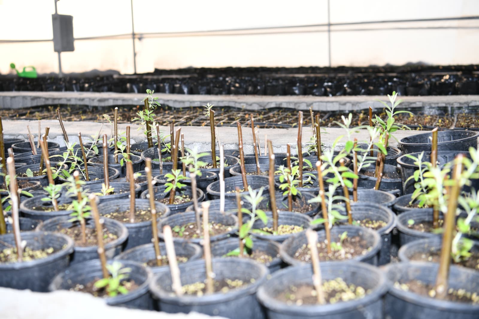 0bc21d71-941d-4a16-ad8e-711285663d10