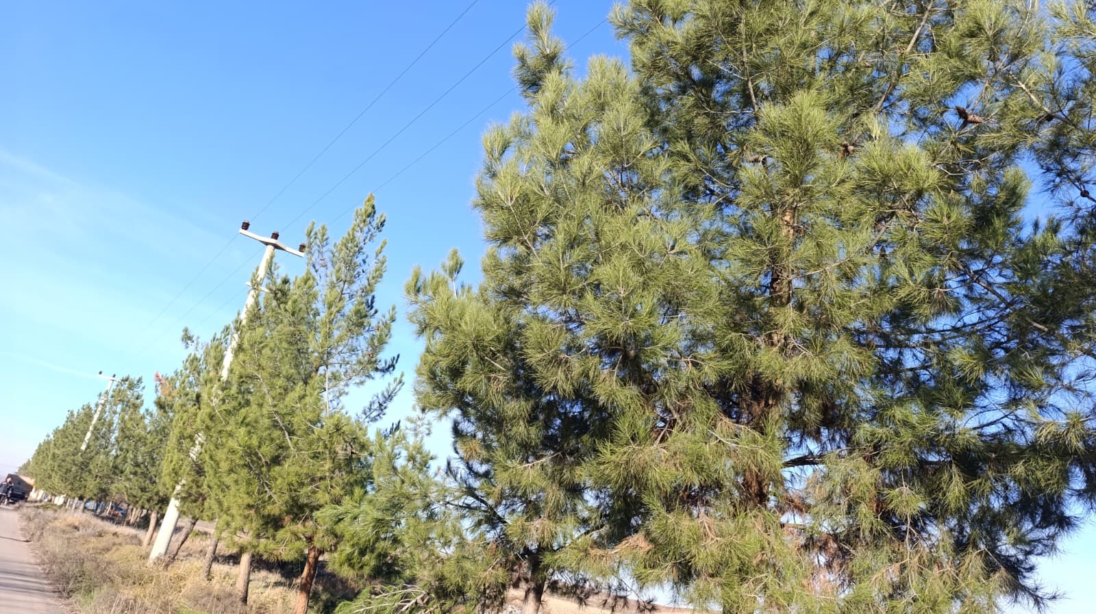 100acda6-c618-4287-85e8-a3dce797f24f