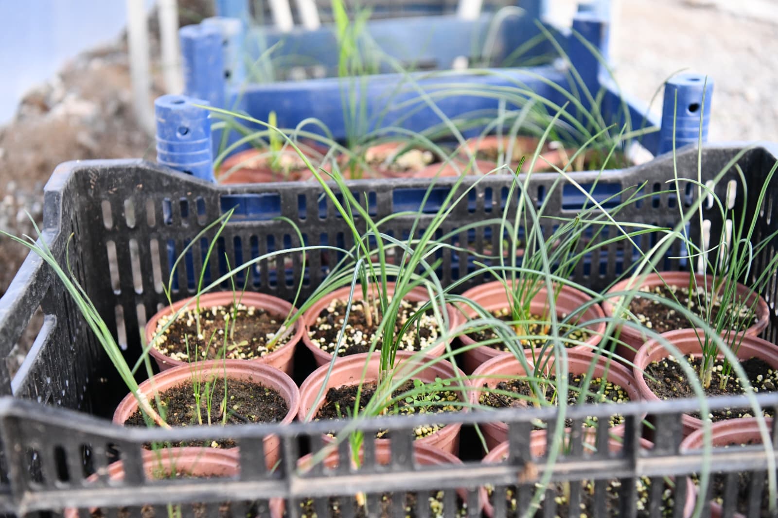 17340df7-8f9e-4866-8152-706edcb6e959