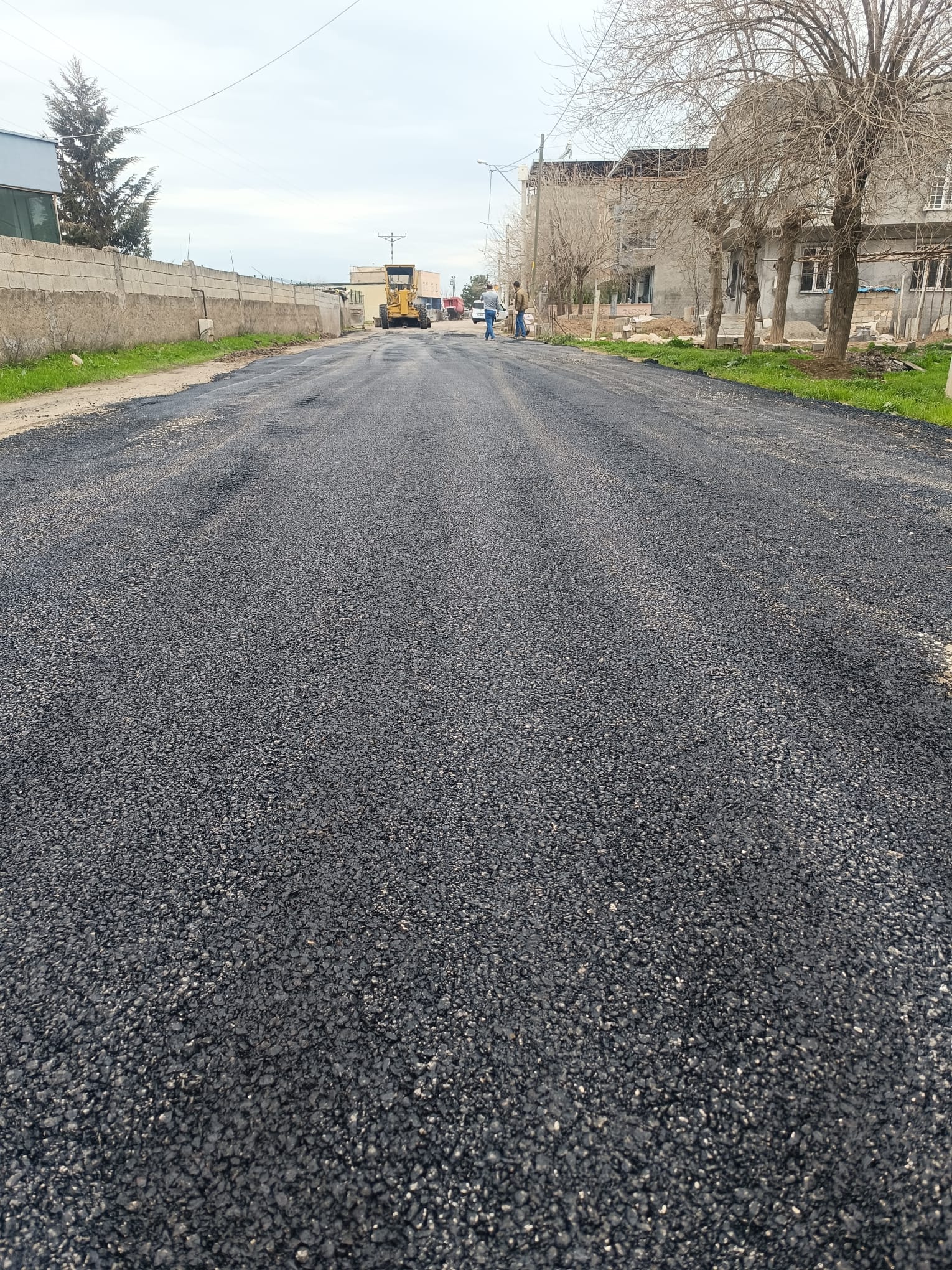 37d6897b-1647-410d-85e7-393036a769a7