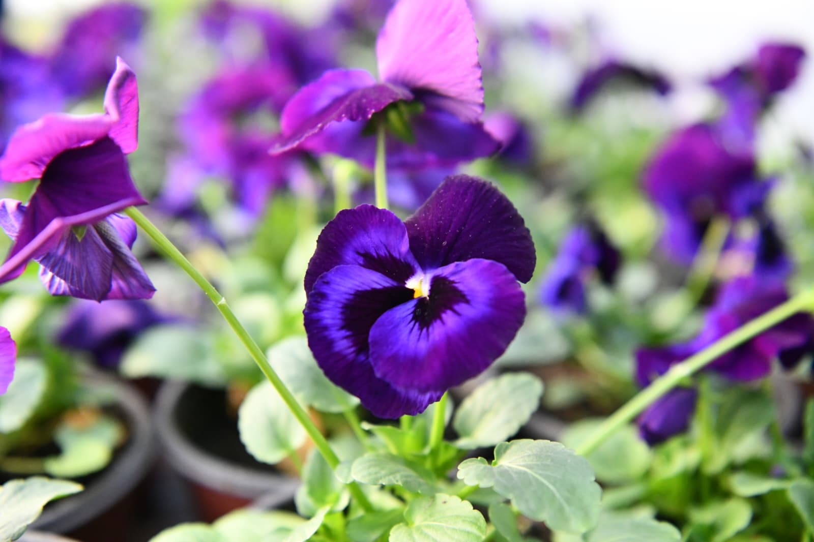 478fd970-57fd-44cf-bc02-27e3c3342270