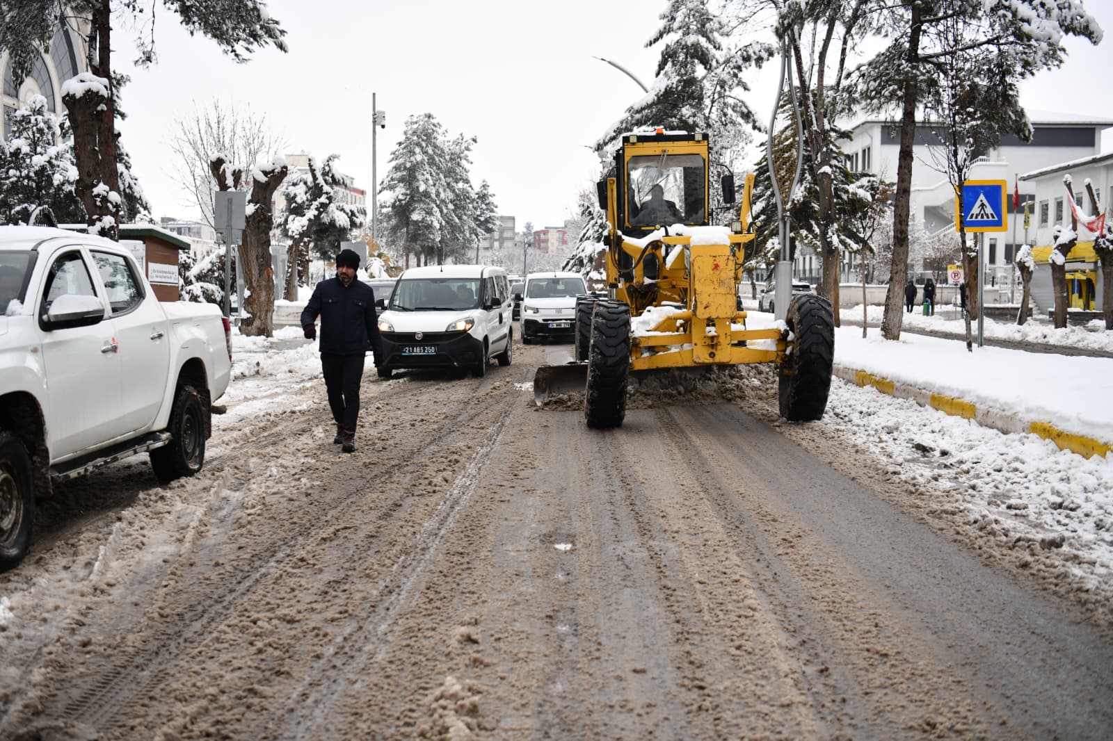 5536de99-419e-44e6-a7b7-7908f9b95a5a