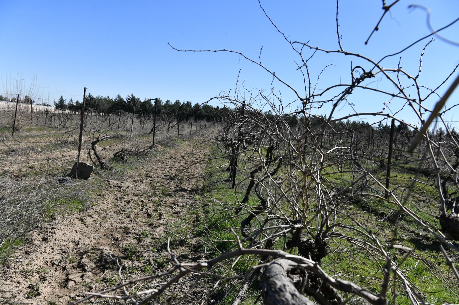 5f9f3e86-3659-4e6f-853a-e77bbe41904e