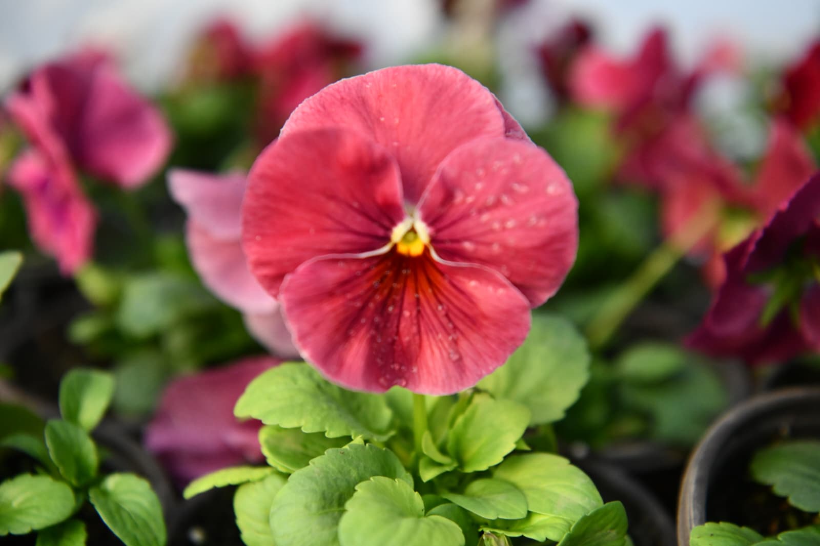 7e8c2a60-bed5-4a74-95a2-6e8b92885d2f