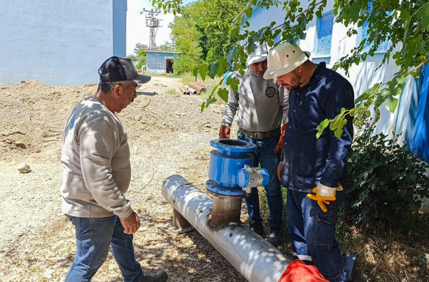 WhatsApp Image 2026-04-03 at 08-46-56 (2)