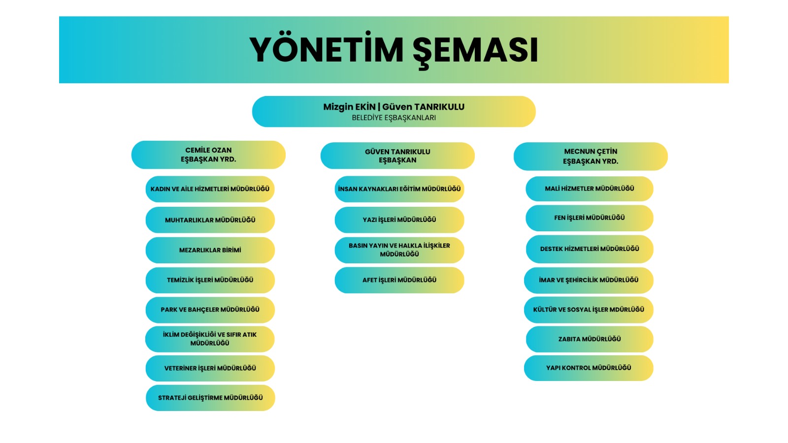 Y&Ouml;NETİM ŞEMASI