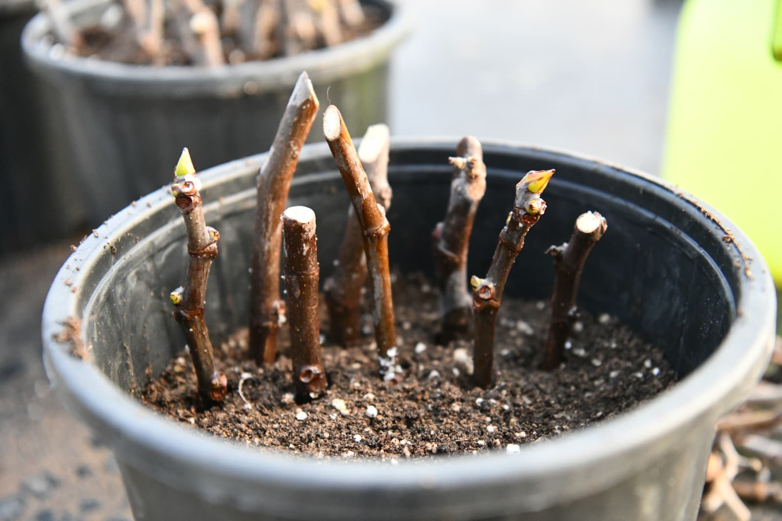 bbe8b990-269a-4641-af51-5ed67b13c254