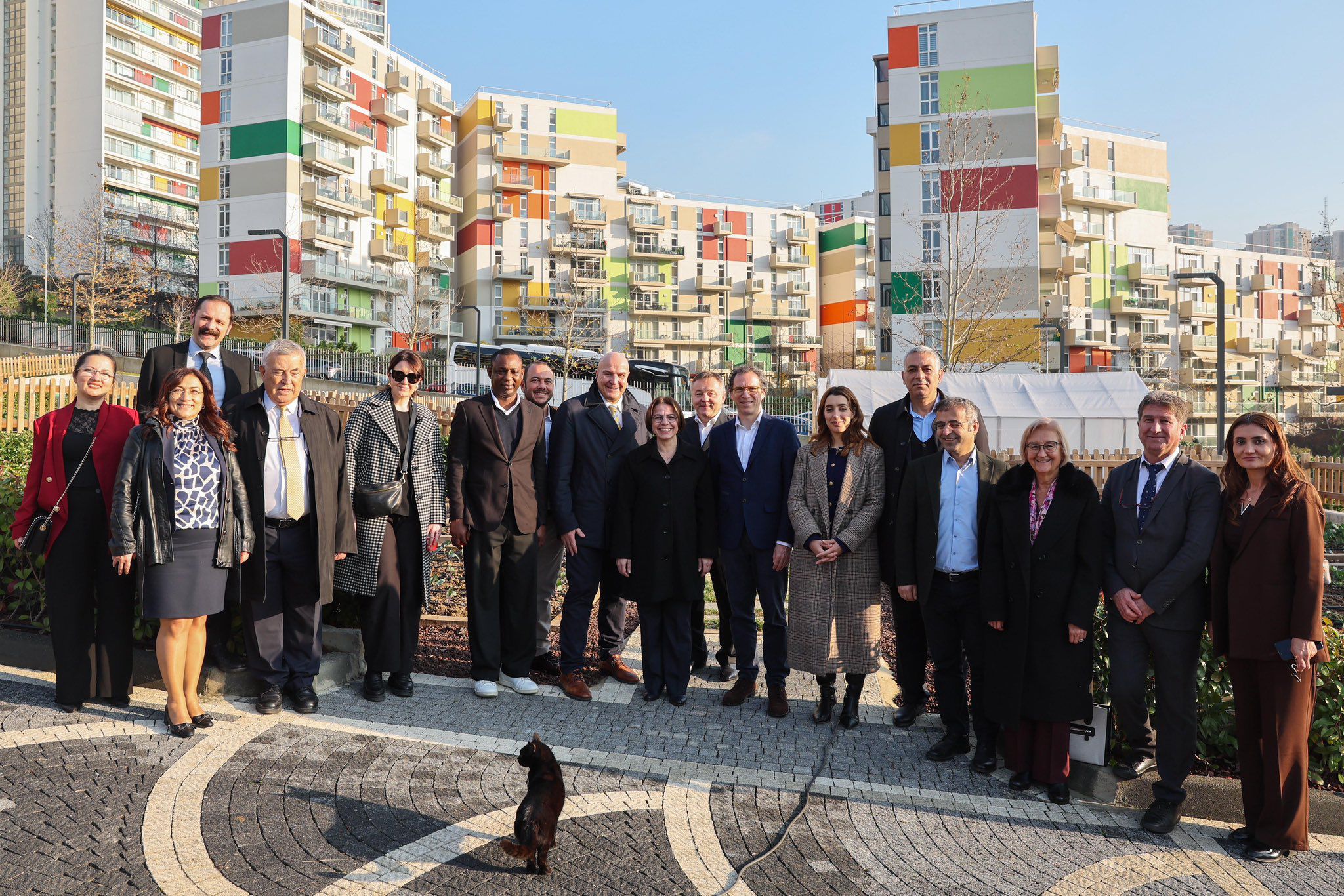 e8aa8ca8-cdb0-42c2-8666-1284d1f14a05