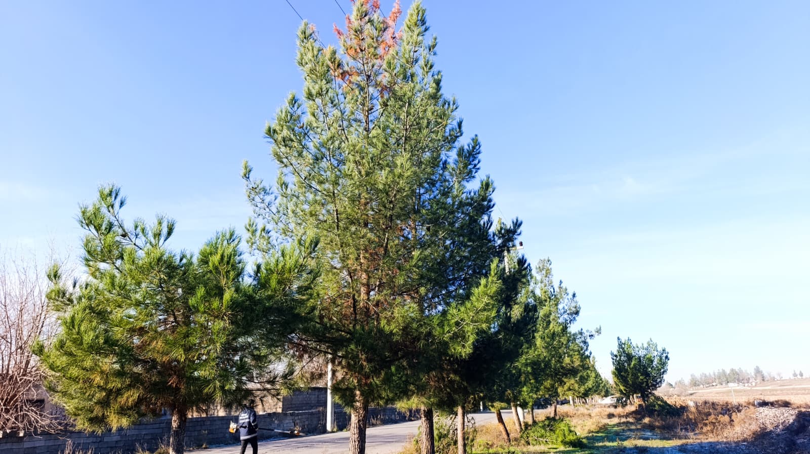 ee2fde6d-3af7-49a3-a58e-af9fa655cb26